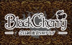会員制 池袋 SMクラブ Black Cherry (ブラック チェリー)